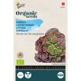 Buzzy ® Bio Kropsla Wonder van Vier Jaargetijden Voorzijde